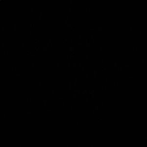 Meet your Posher, Eri